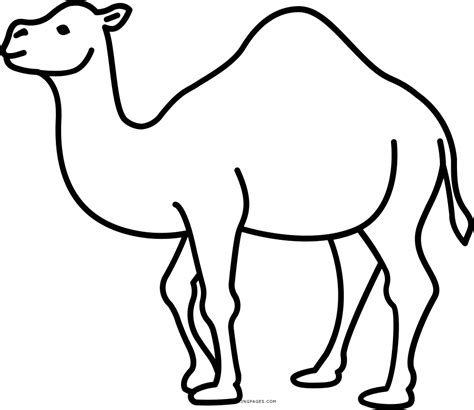 camel outline images